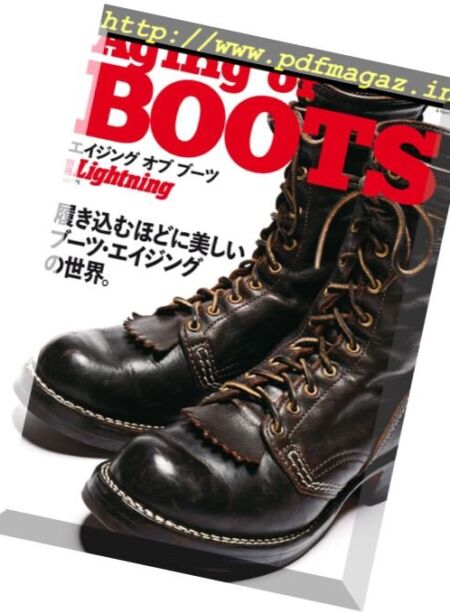 Lightning Special – Volume 171 2017 Cover