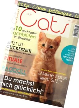 Our Cats – November 2017