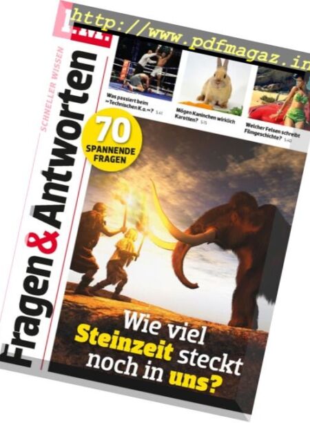 P.M. Fragen & Antworten – Dezember 2017 Cover