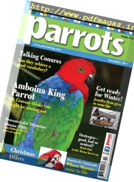 Parrots – November 2017 Cover