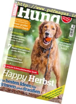 Partner Hund – November 2017