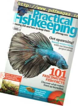 Practical Fishkeeping – November 2017