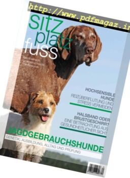 SitzPlatzFuss – Oktober-Dezember 2017