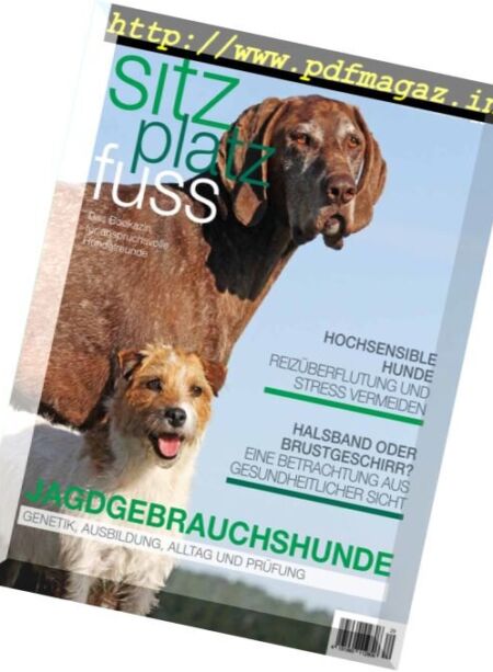 SitzPlatzFuss – Oktober-Dezember 2017 Cover