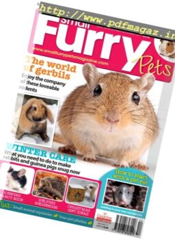 Small Furry Pets – November-December 2017