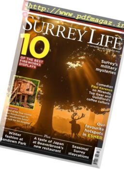 Surrey Life – November 2017