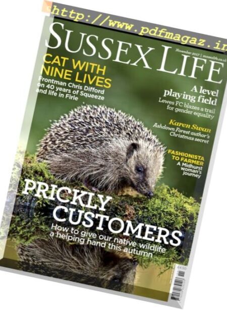 Sussex Life – November 2017 Cover