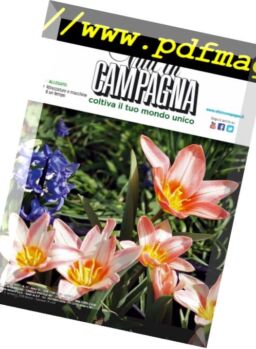 Vita In Campagna – Novembre 2017