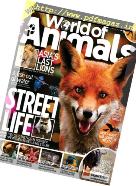 World of Animals UK – November 2017 Cover