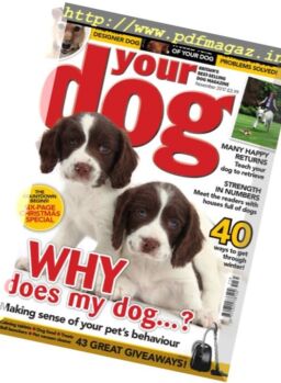 Your Dog – November 2017