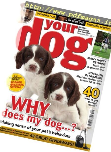 Your Dog – November 2017 Cover