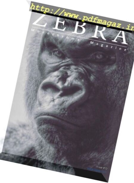 Zebra Monochrome – Issue 10, 2017 Cover
