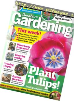 Amateur Gardening – 11 November 2017