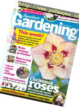 Amateur Gardening – 14 November 2017