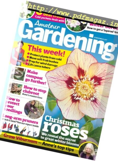 Amateur Gardening – 14 November 2017 Cover