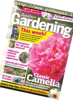 Amateur Gardening – 2 December 2017
