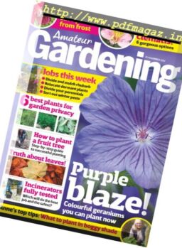 Amateur Gardening – 21 November 2017