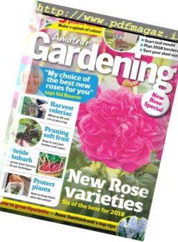 Amateur Gardening – 28 October 2017