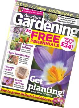 Amateur Gardening – 4 November 2017