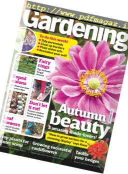 Amateur Gardening – 7 October 2017