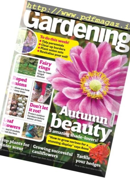 Amateur Gardening – 7 October 2017 Cover