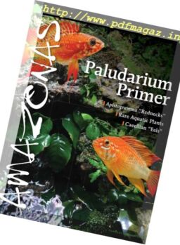 Amazonas – January-February 2018