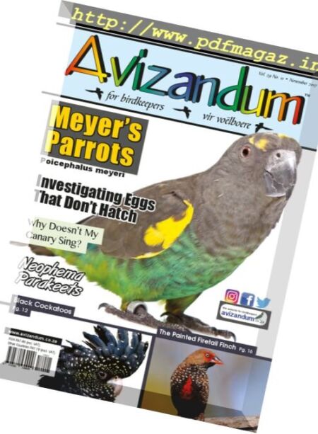 Avizandum – November 2017 Cover