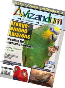 Avizandum – October 2017
