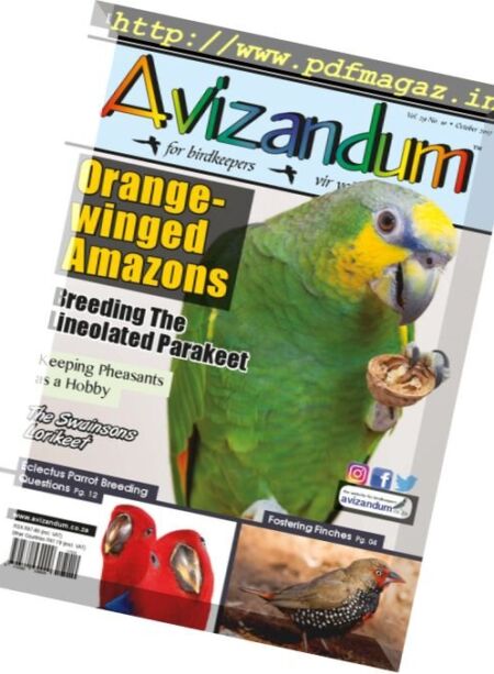Avizandum – October 2017 Cover