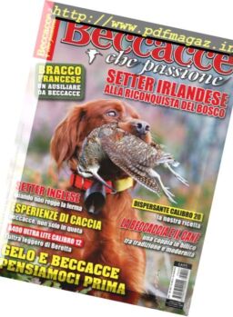 Beccacce Che Passione – Novembre 2017