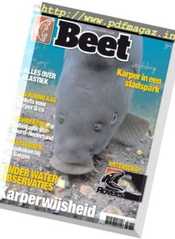 Beet – November 2017