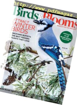 Birds & Blooms – December 2017