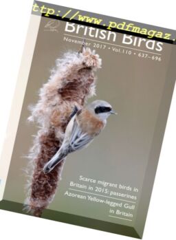 British Birds – November 2017