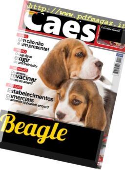 Caes & Companhia – Dezembro 2017