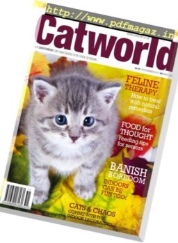 Cat World – November 2017