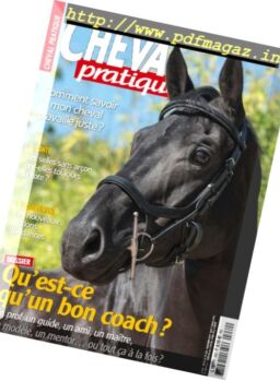 Cheval Pratique – Novembre 2017