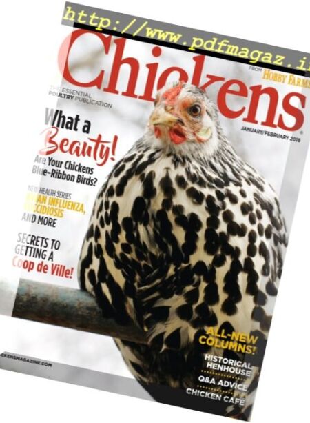Chickens – January 2018 Cover