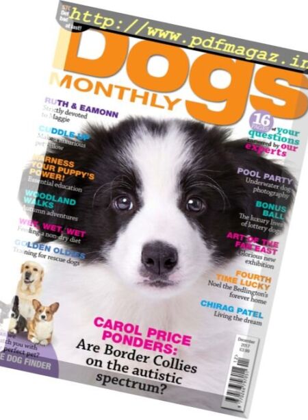 Dogs Monthly – December 2017 Cover