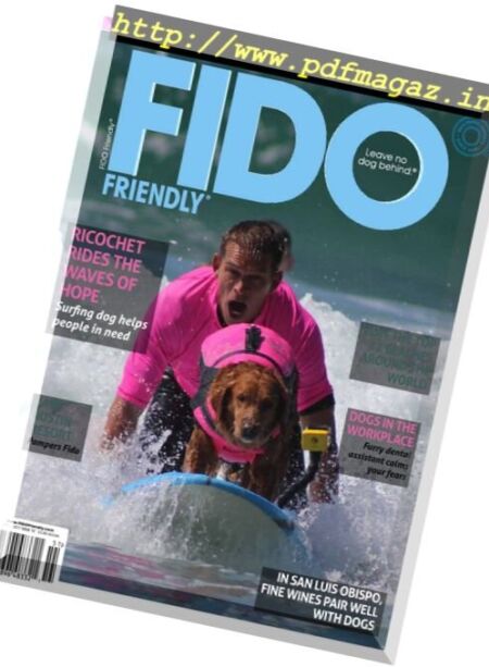 FIDO Friendly – November 2017 Cover
