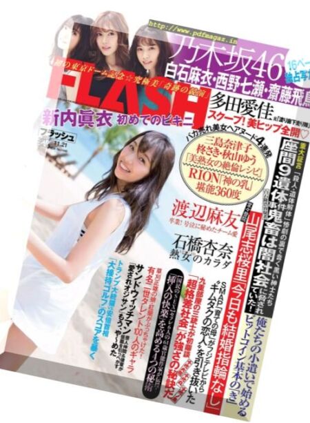 Flash – 21 November 2017 Cover