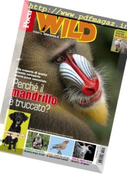 Focus Wild – Dicembre 2017