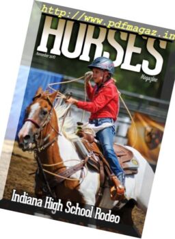 Horses – November 2017