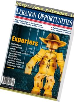 Lebanon Opportunities – November 2017