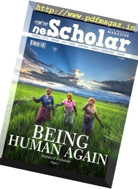 neScholar – November 2017 Cover