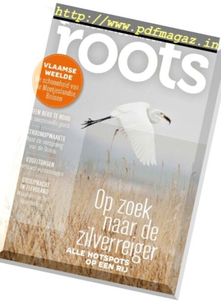 Roots – November 2017 Cover
