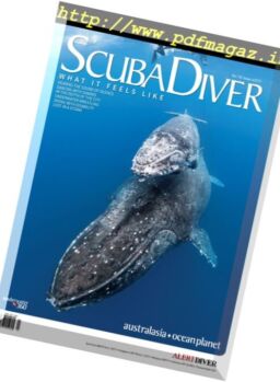 Scuba Diver – November 2017
