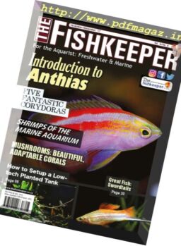 The Fishkeeper – November-December 2017