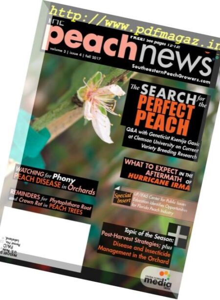 The Peach News – November 2017 Cover