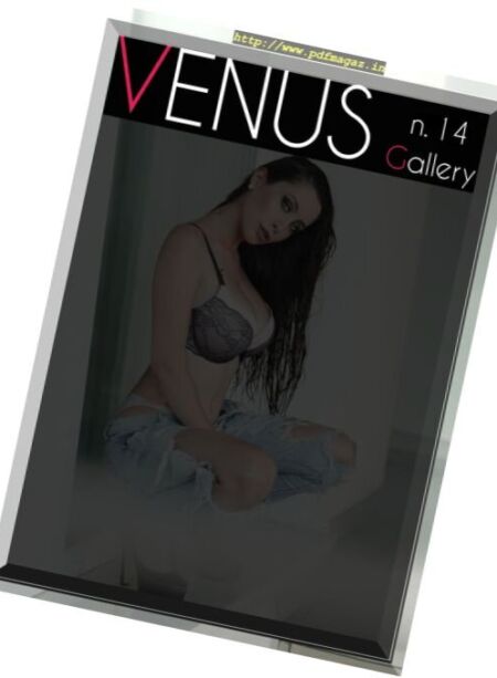 Venus Gallery – Nr. 14 2017 Cover