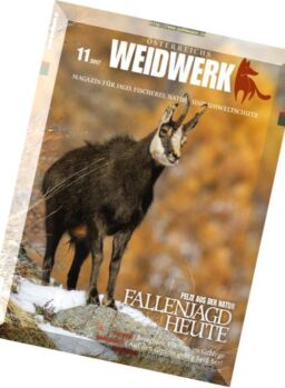 Weidwerk – November 2017
